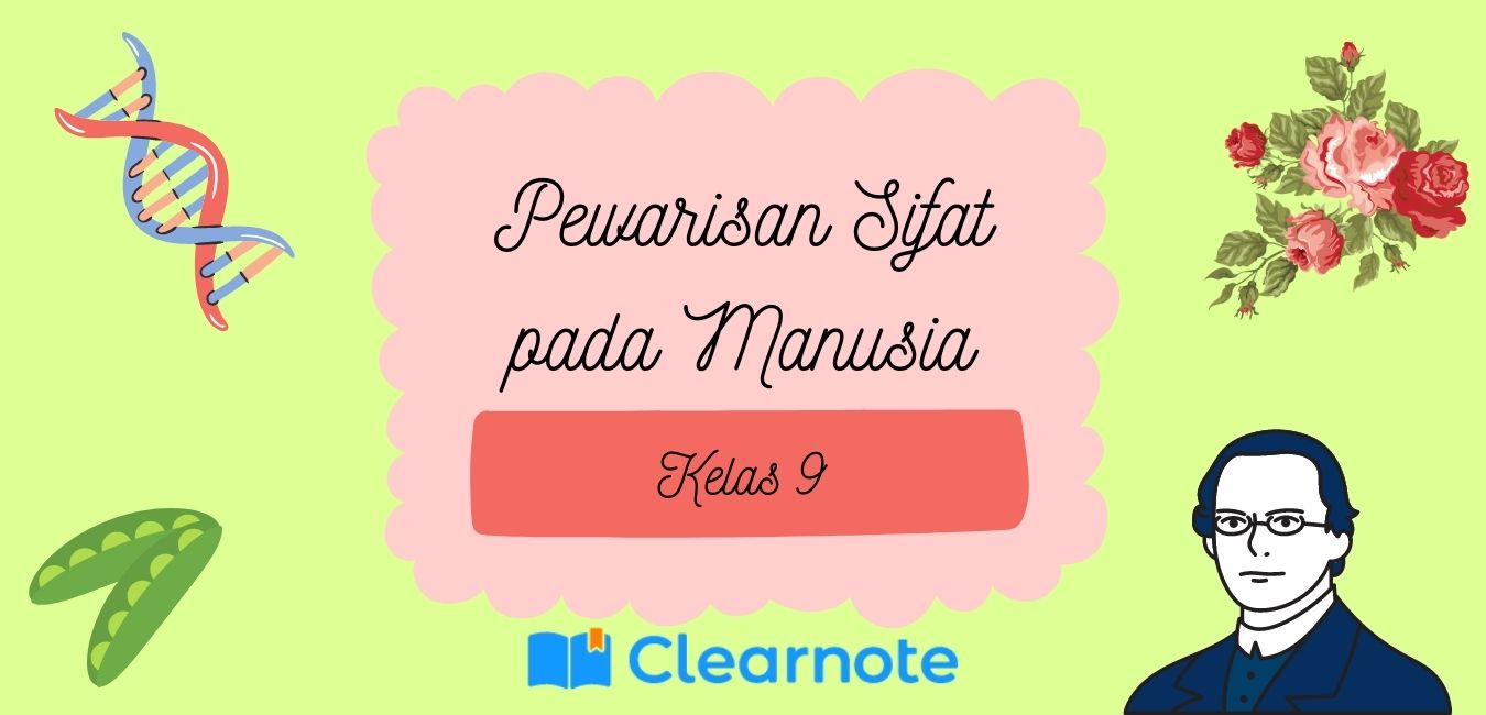 Pewarisan Sifat Pada Manusia Kelas Clear Indonesia News