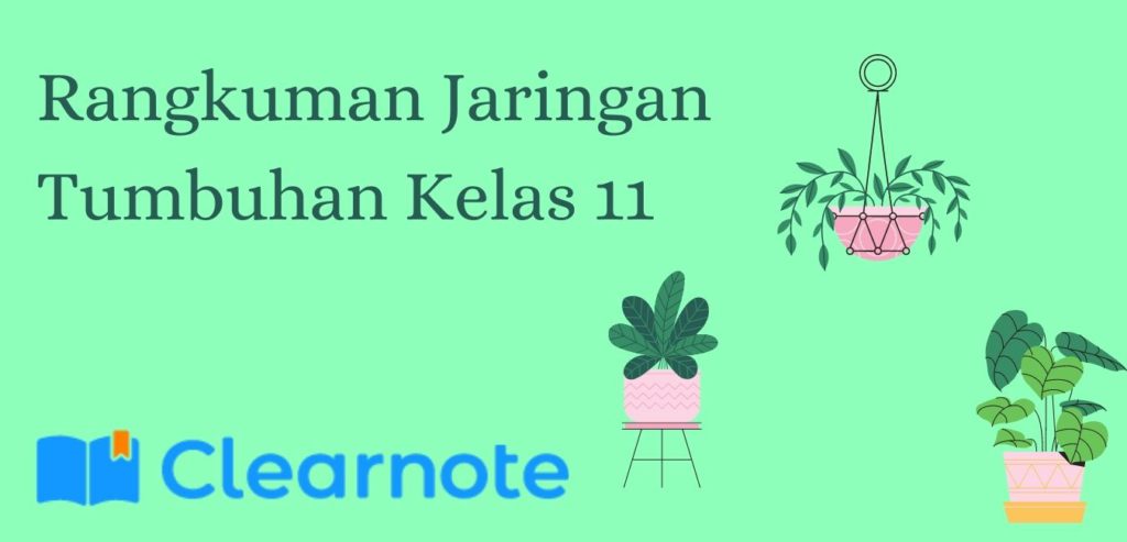 Rangkuman Jaringan Tumbuhan Kelas 11
