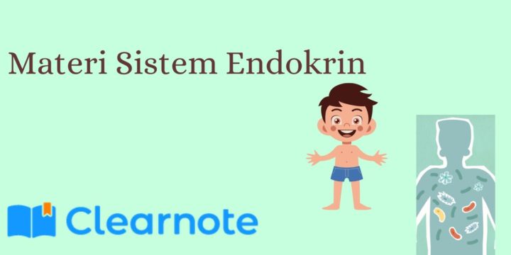 Materi Sistem Endokrin