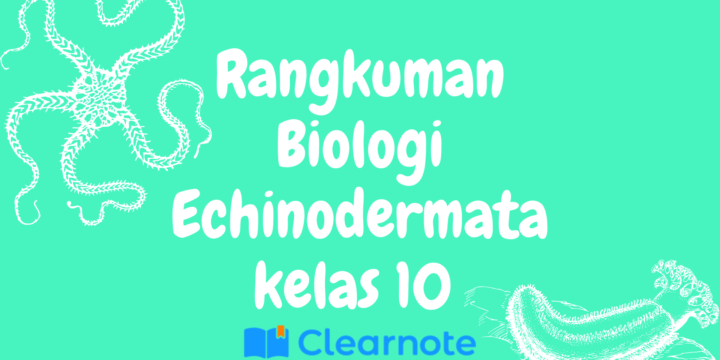 Biologi Echinodermata Kelas 10 semester 2