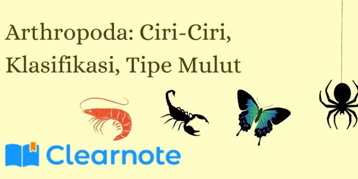Arthropoda: Ciri-Ciri, Klasifikasi, Tipe Mulut