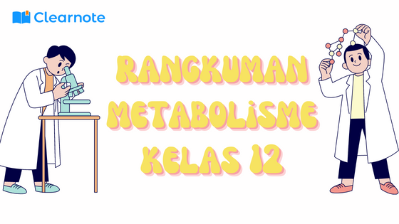 Rangkuman Catatan Biologi Metabolisme Kelas 12 Clearnote