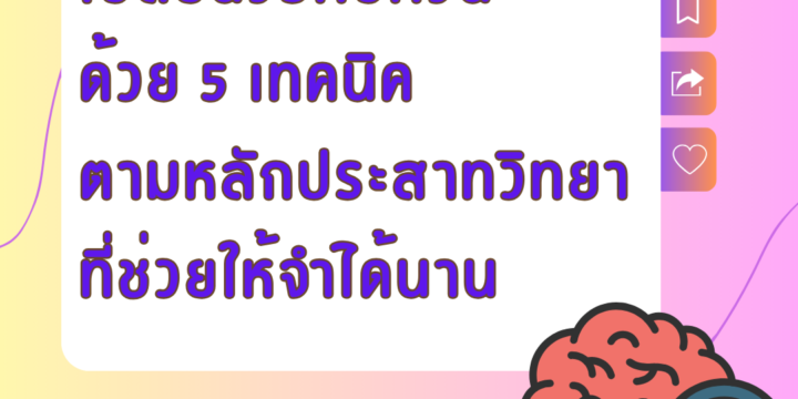 เปลี่ยนวิธีทบทวน ด้วย 5 เทคนิคตามหลักประสาทวิทยาที่ช่วยให้จำได้นาน
