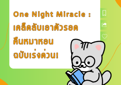 One Night Miracle : เคล็ดลับเอาตัวรอดคืนหมาหอนฉบับเร่งด่วน!