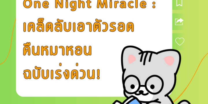 One Night Miracle : เคล็ดลับเอาตัวรอดคืนหมาหอนฉบับเร่งด่วน!