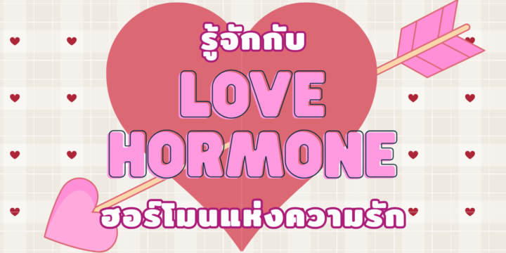 รู้จักกับ Love Hormone ฮอร์โมนแห่งความรัก❤️